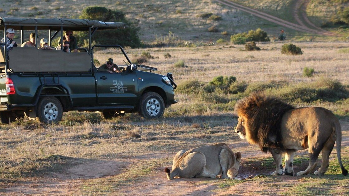 GRGL - Game drive