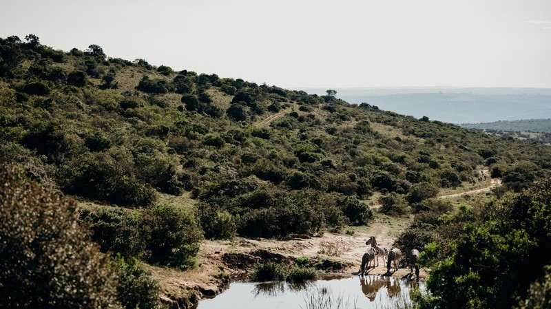 Bukela Game Lodge (14)