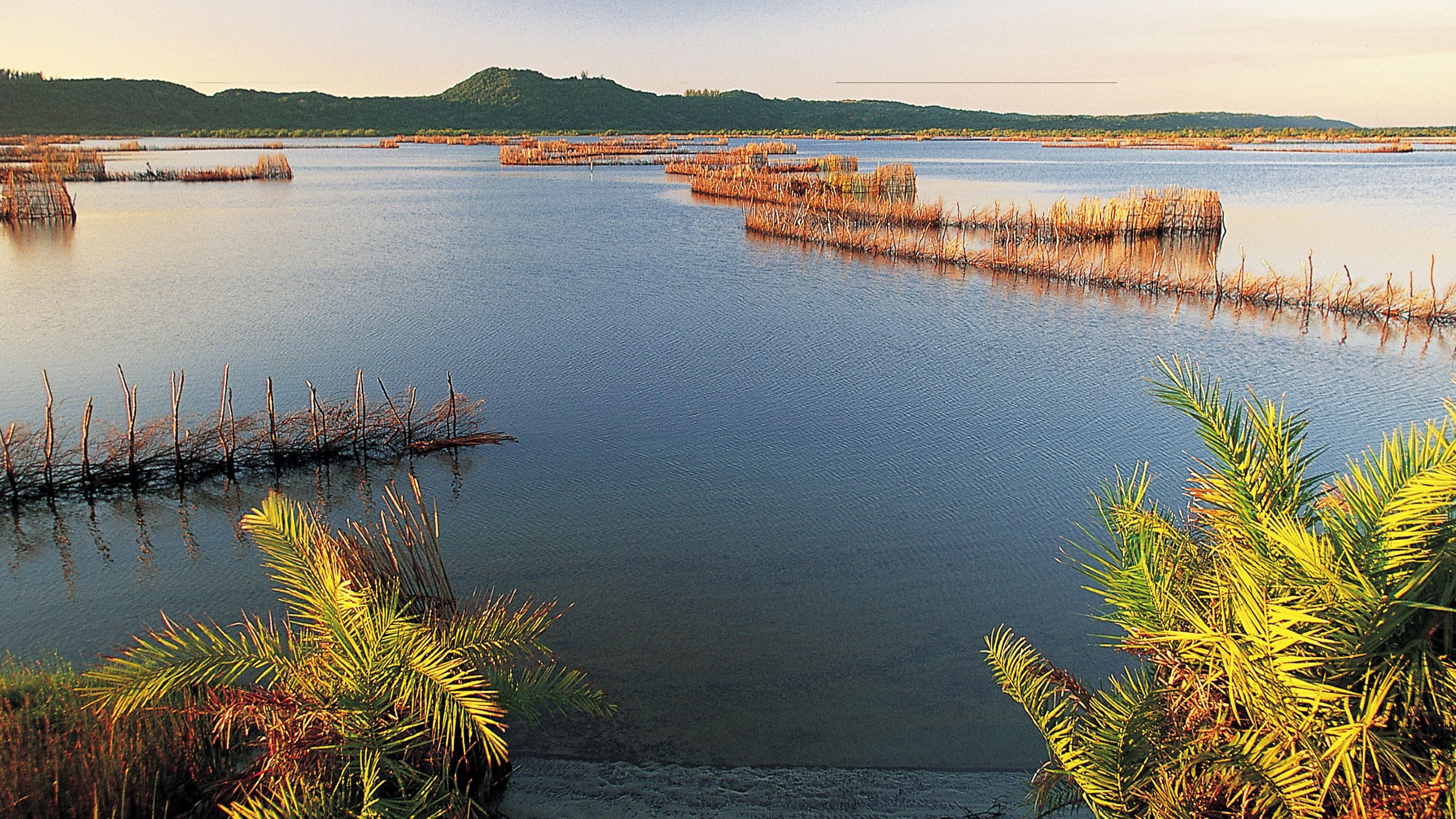 Kosi Forest Lodge Fish Traps 2