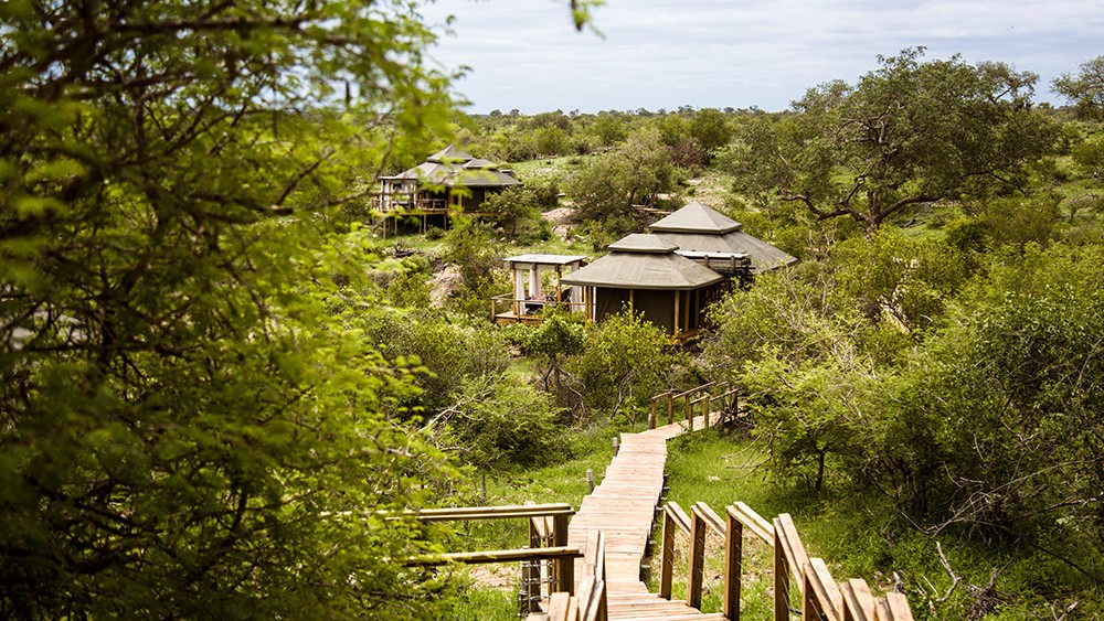 Simbavati Hilltop Lodge (7)