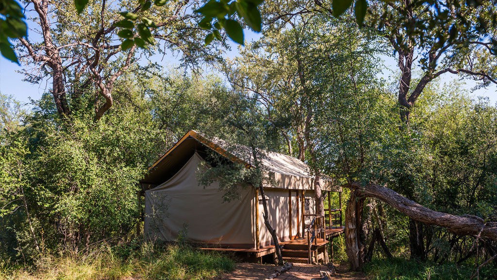 Thakadu River Camp (8)